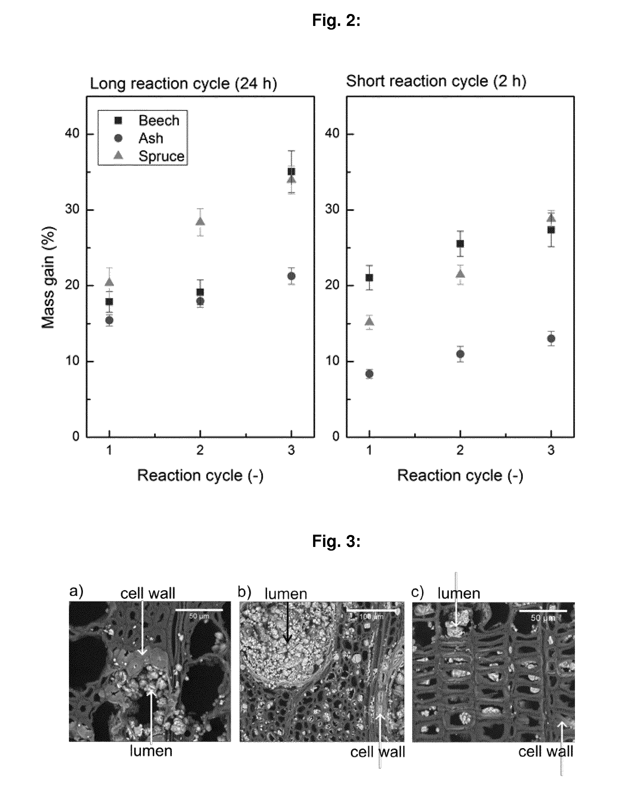 Mineralized wood materials and methods providing mineralized wood materials