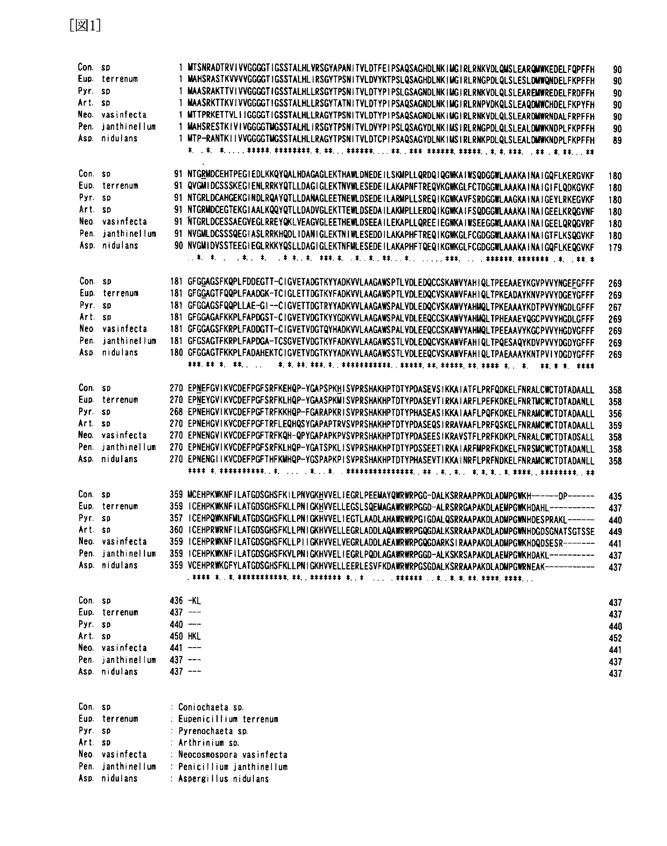 Eukaryotic amadoriase having excellent thermal stability, gene and recombinant DNA for the eukaryotic amadoriase, and process for production of eukaryotic amadoriase having excellent thermal stability