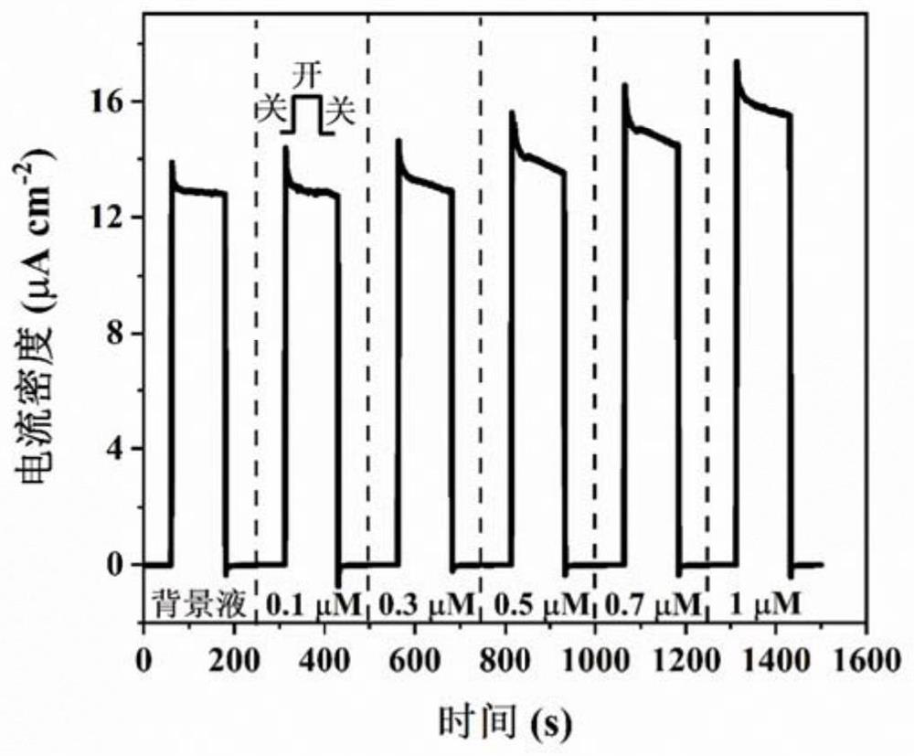 Unbiased enzymatic glucose photoelectrochemical sensing electrode and preparation method thereof