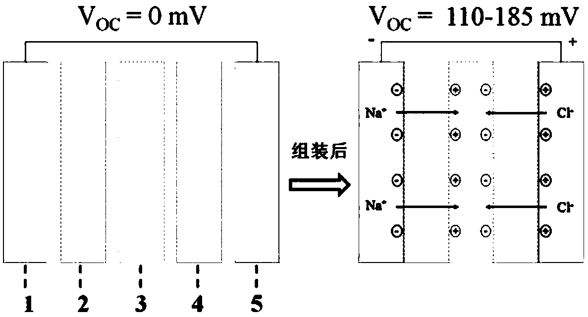 Life battery, preparation method thereof, and apparatus for preparing such life battery