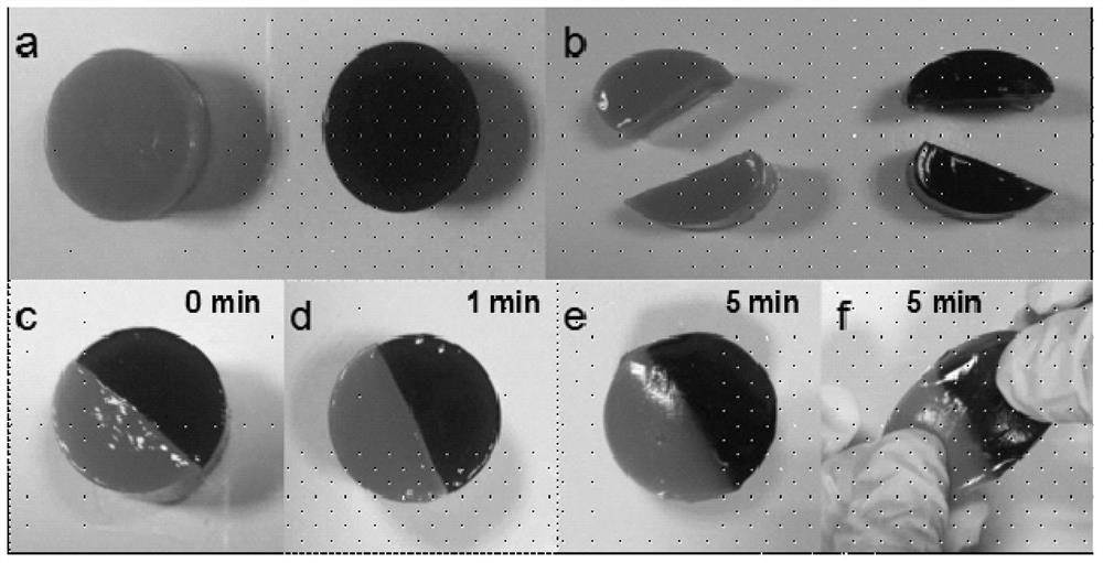 A kind of dissolvable self-healing natural polymer hydrogel and preparation method thereof