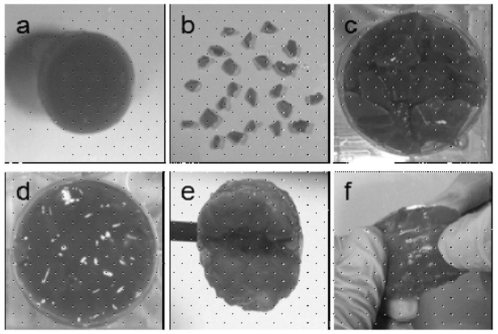 A kind of dissolvable self-healing natural polymer hydrogel and preparation method thereof