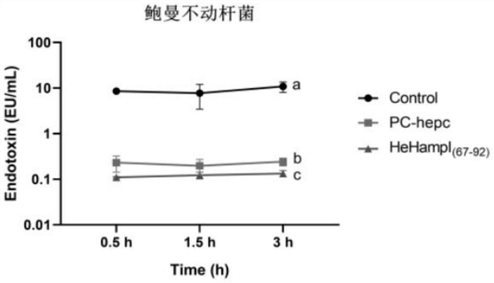 A kind of antimicrobial peptide hehampⅰ(67-92) and its application