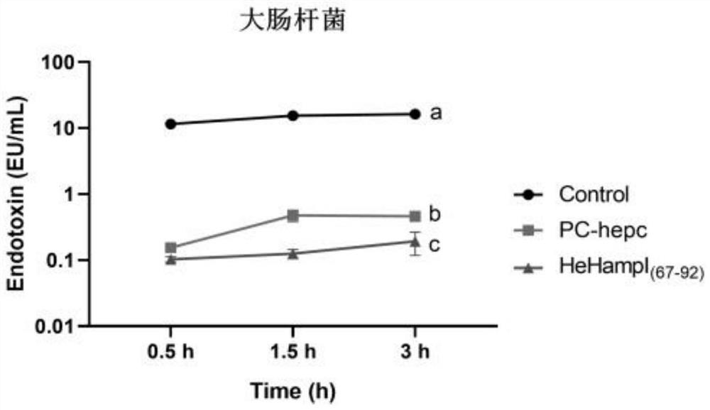 A kind of antimicrobial peptide hehampⅰ(67-92) and its application