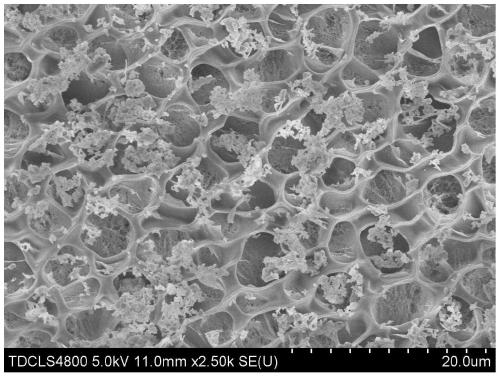 High strength mineralized hydrogel and its application in bone repair