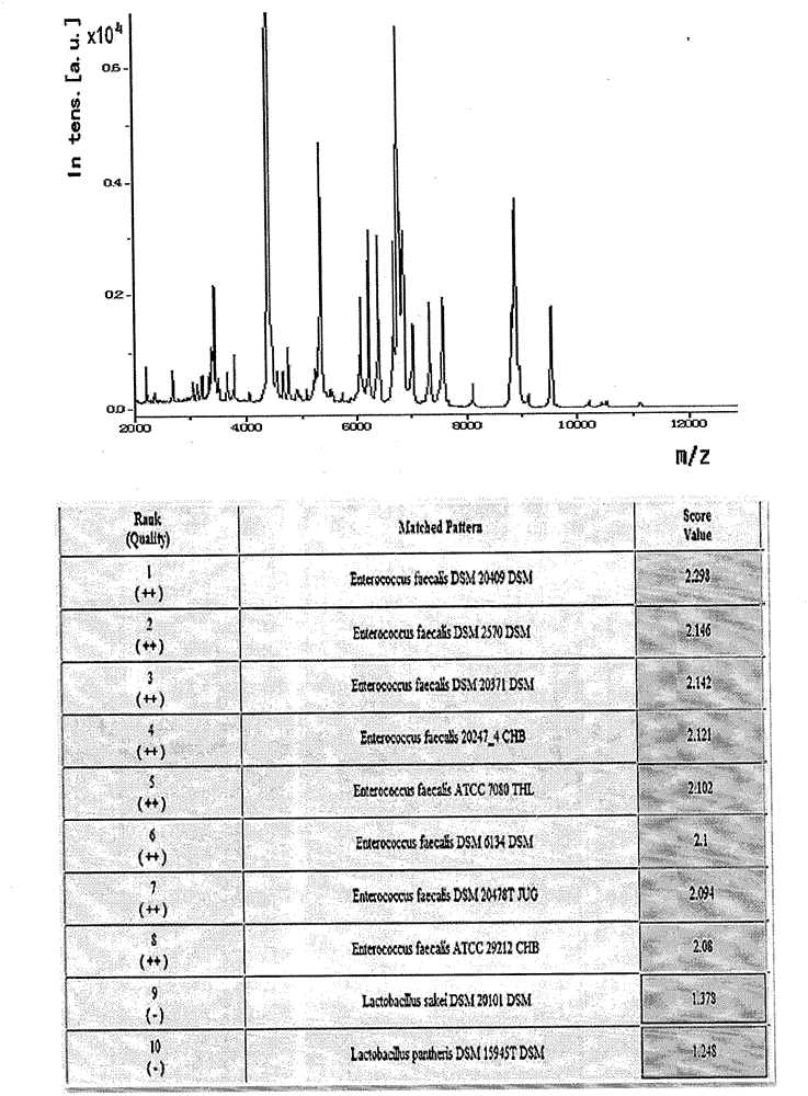 Pretreatment method for directly detecting infection urine pathogen by MALDI-TOF MS