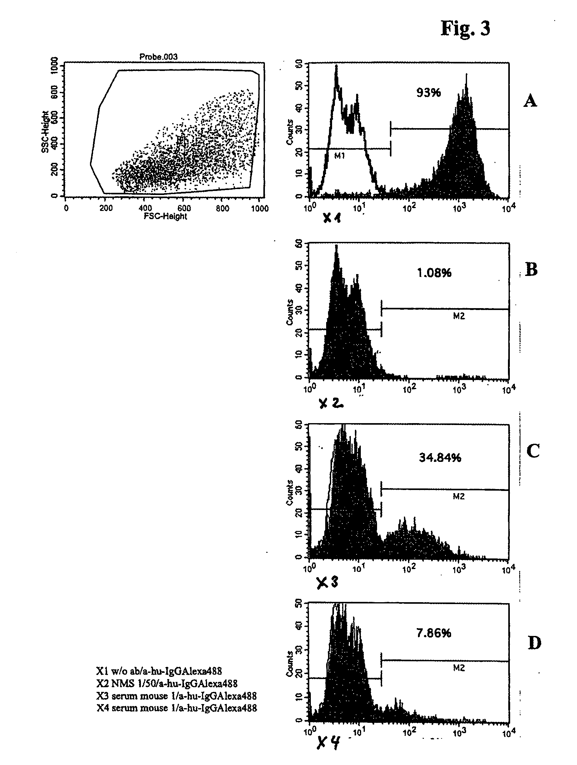 Method for the production of antibodies