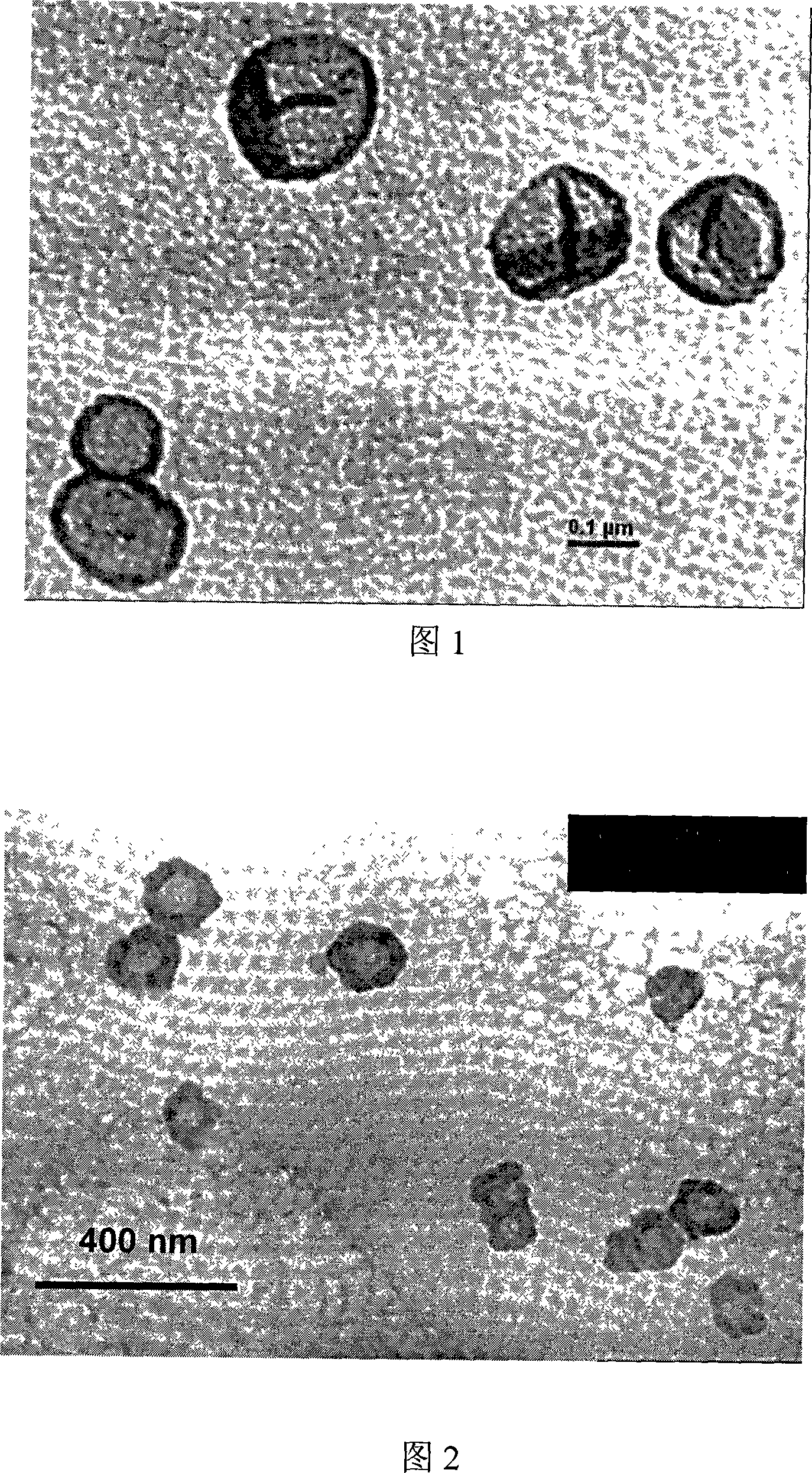 Method for preparing hollow microsphere with hydrogel microsphere as stencil