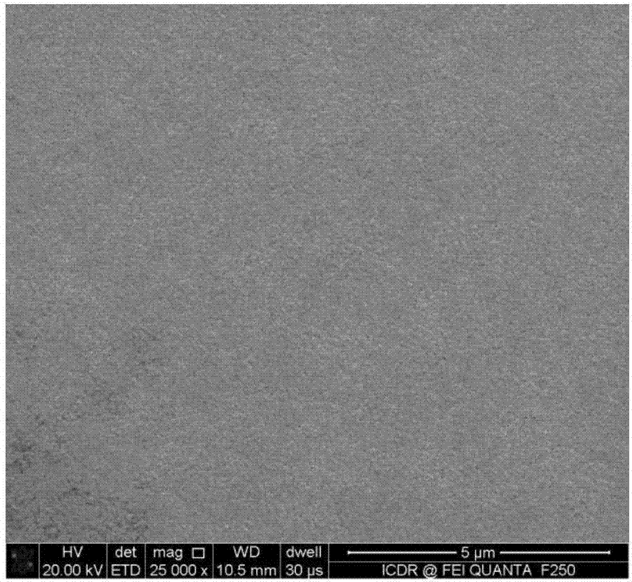 HoSrMnZn co-doped bismuth ferrite multiferroic film and preparation method thereof