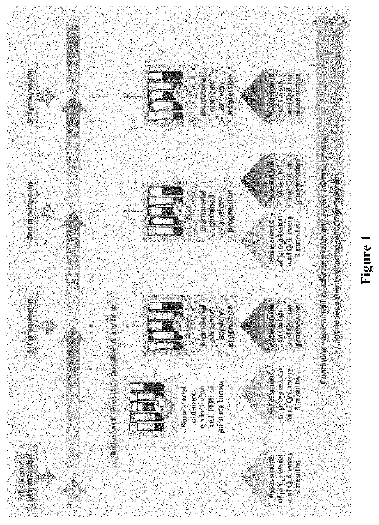 Prognostic indicators of poor outcomes in pregnant metastatic breast cancer cohort