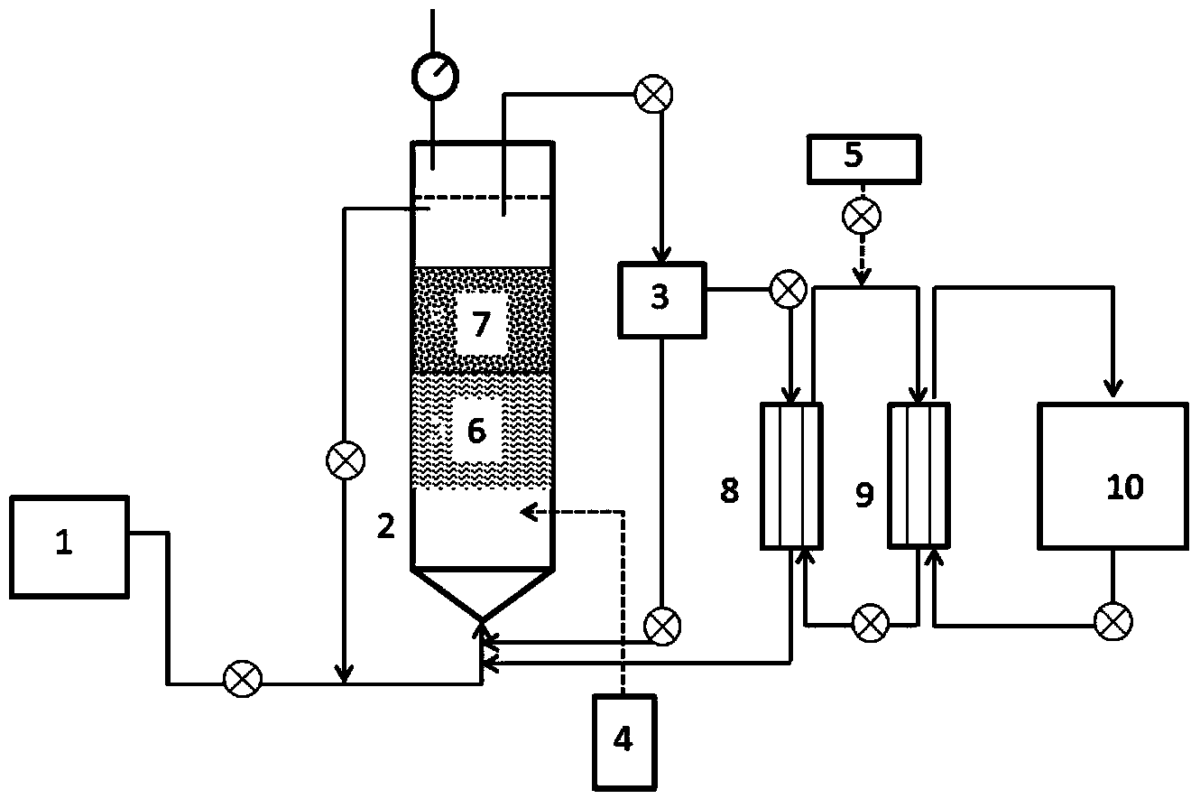 Method for synthesizing caproic acid by catalyzing lactic acid through microorganisms