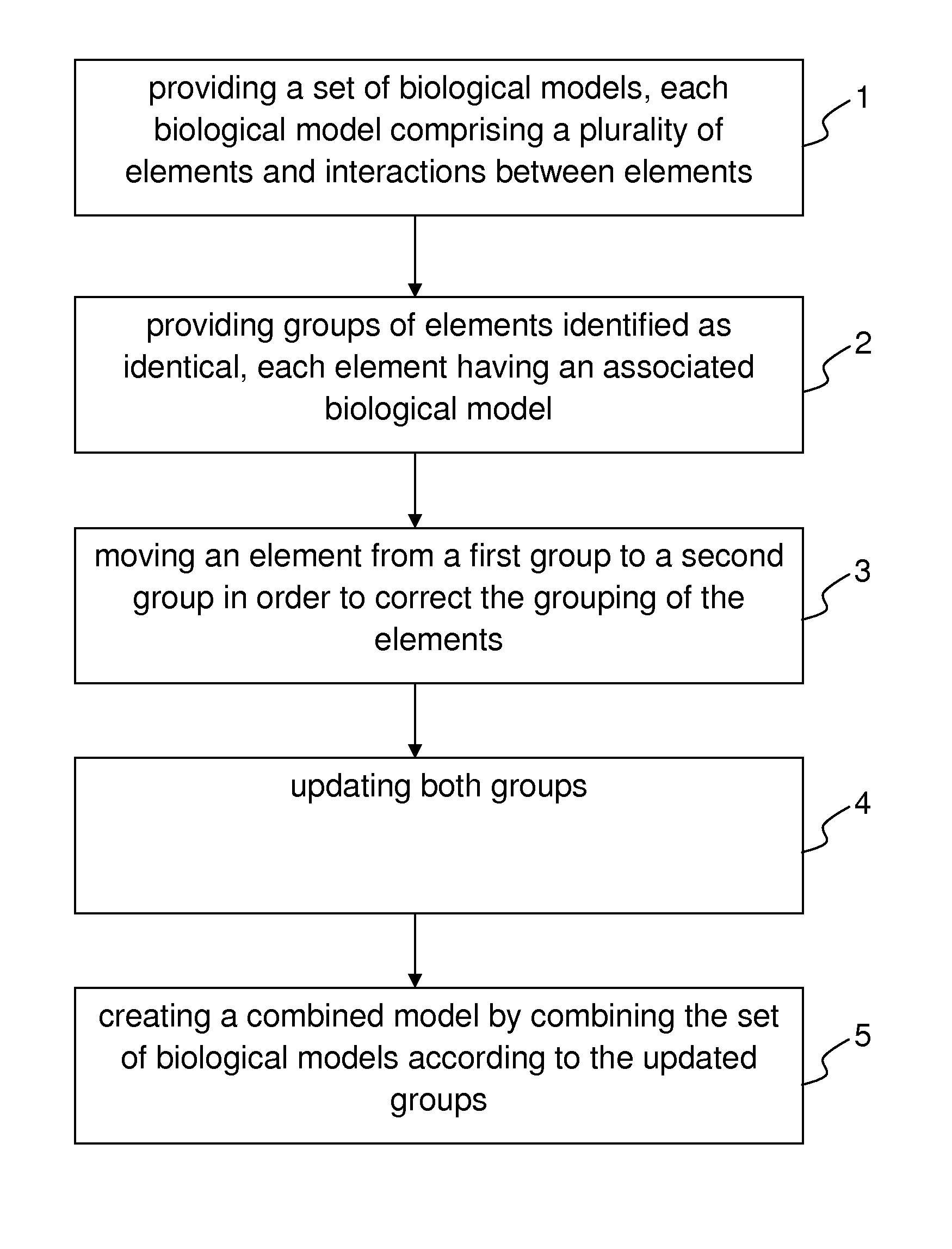 Computer-implemented method for designing a biological model