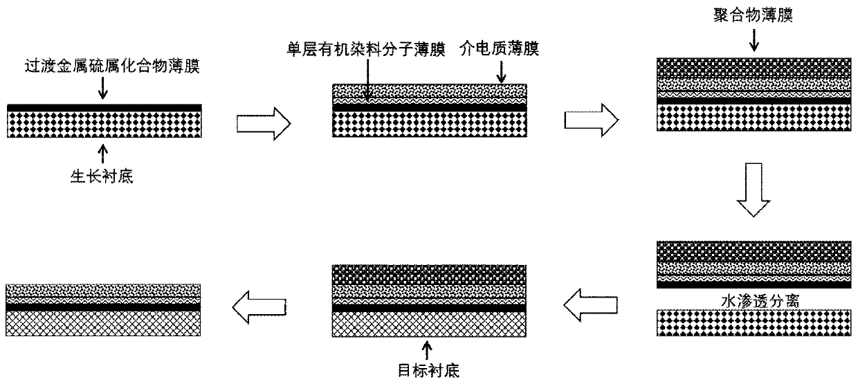 Method for large-area transfer of two-dimensional transition metal chalcogenide film and application thereof