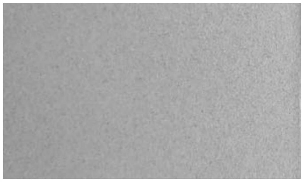 Micro-crystal color art coating as well as preparation method and application thereof