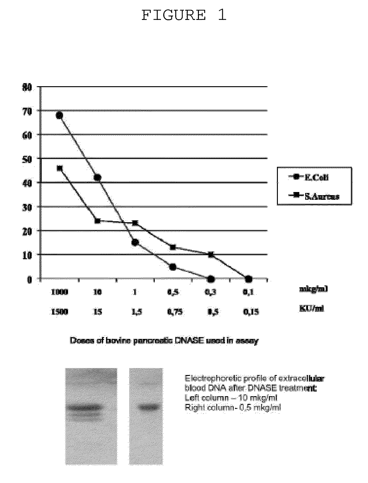 Method for Treating Systemic Bacterial, Fungal and Protozoan Infection