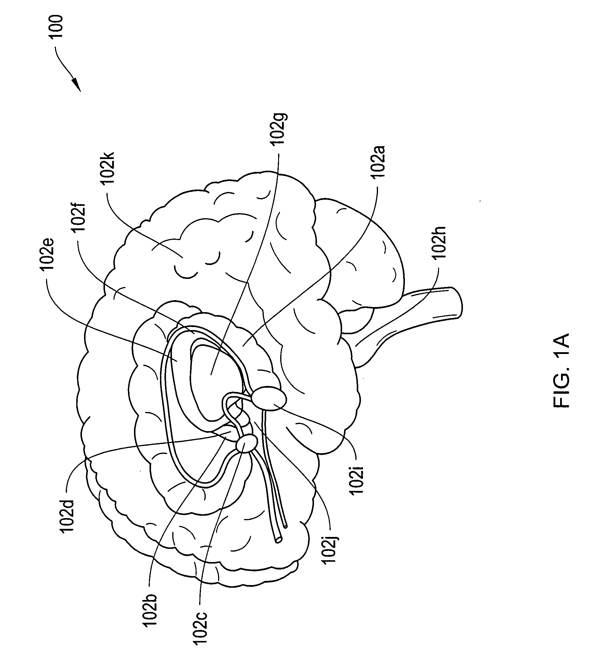 Systems and methods for improving a cognitive function