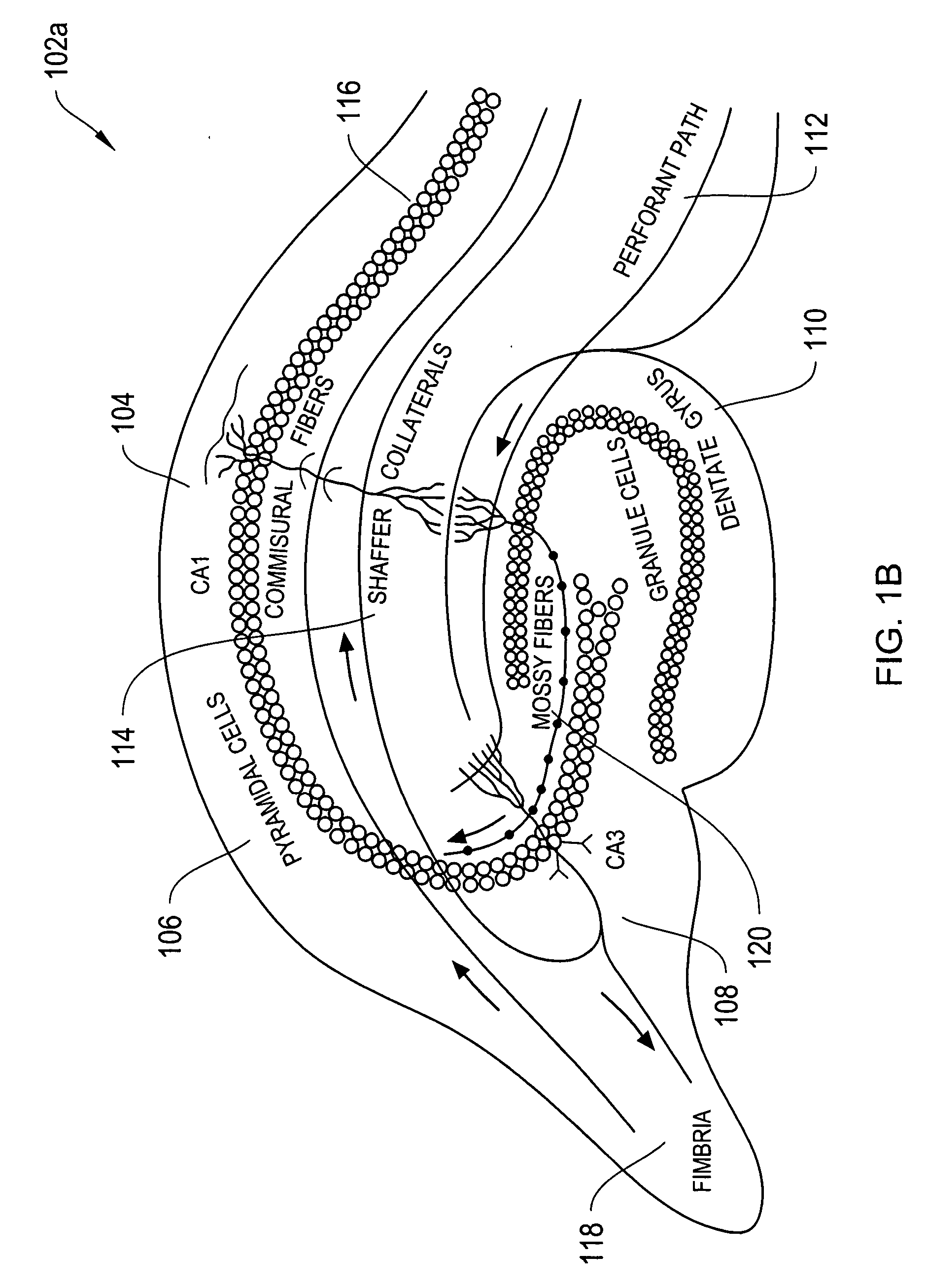 Systems and methods for improving a cognitive function