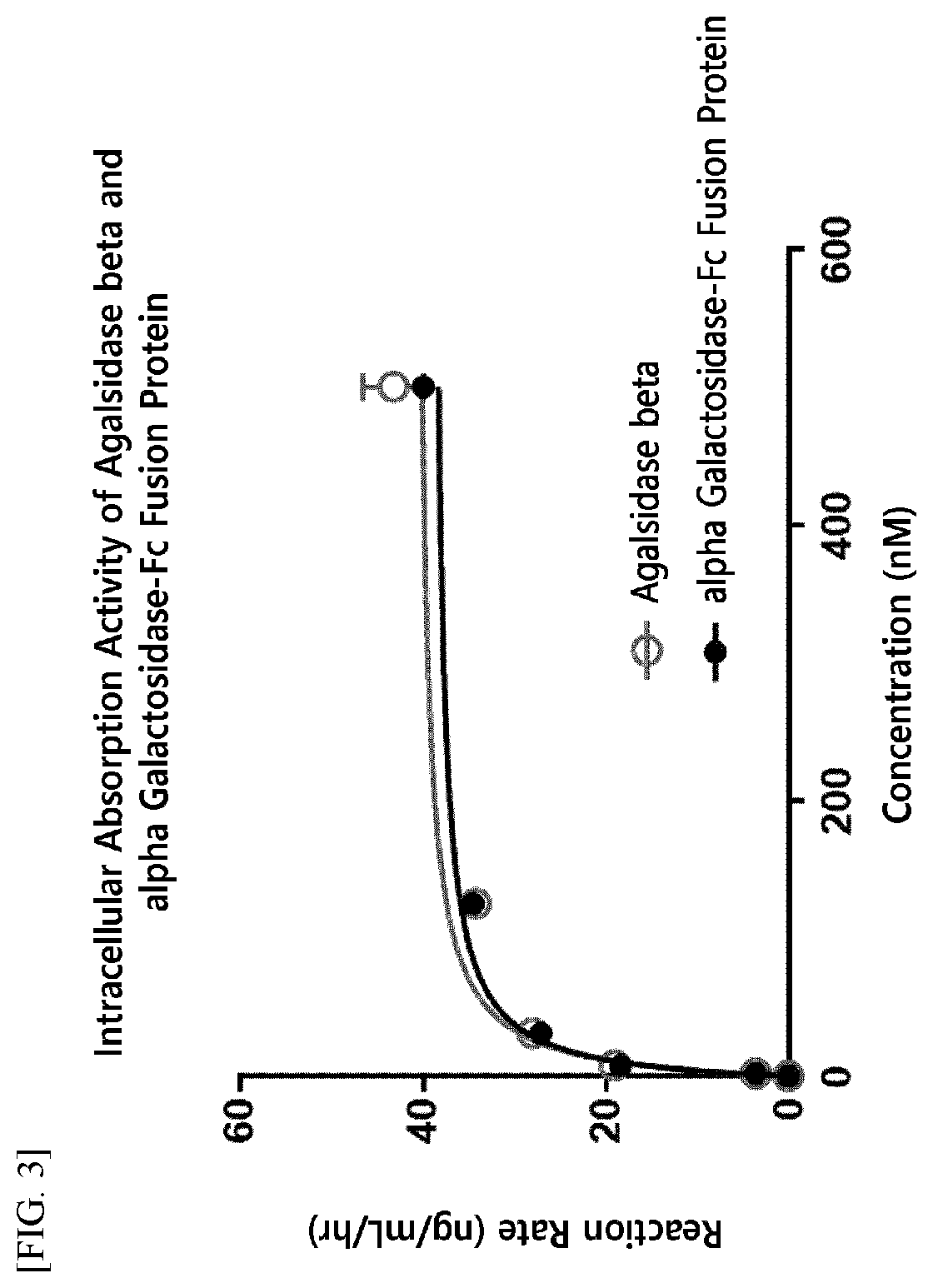 Therapeutic enzyme fusion protein having a novel structure and use thereof