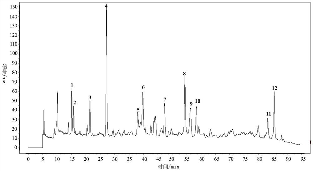 Establishment method of oyster powder fingerprint spectrum and fingerprint spectrum