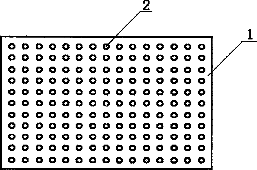 Quick and open liquid cultivation method and apparatus for detoxicated potato seedlings and miniature potatoes