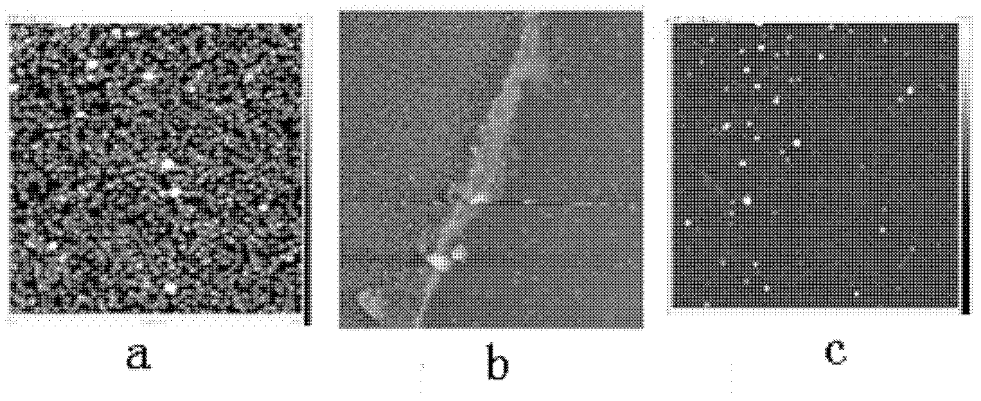 Surface enhanced Raman scattering (SERS) substrate and preparation method thereof