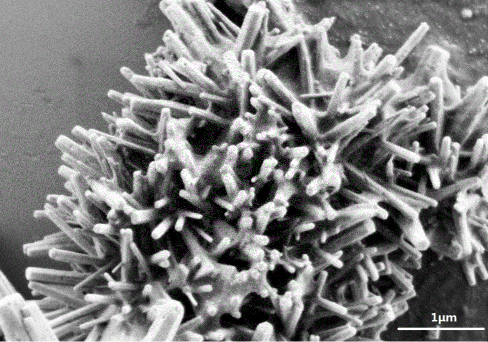 Preparation method of flower cluster-shaped zinc oxide hybrid material based on cellulose nanosphere crystal as template