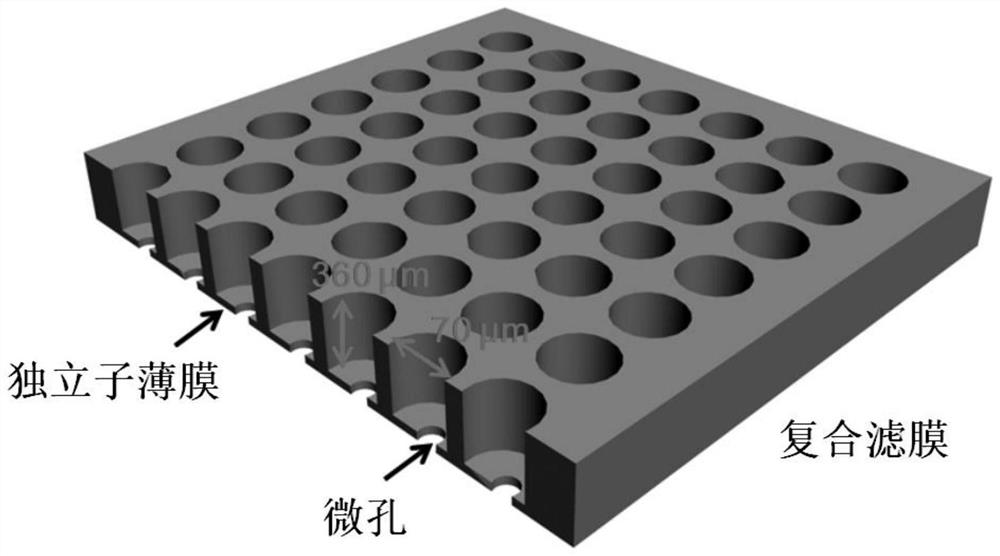 Isolation and detection method of rare cells at single cell level