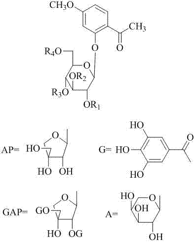 Application of phenolic glycoside compounds in anticomplement medicine preparation