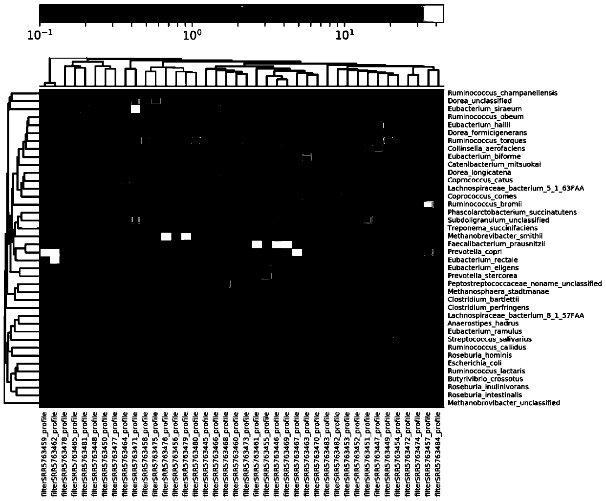 Method for identifying individual intestinal flora types based on SNP