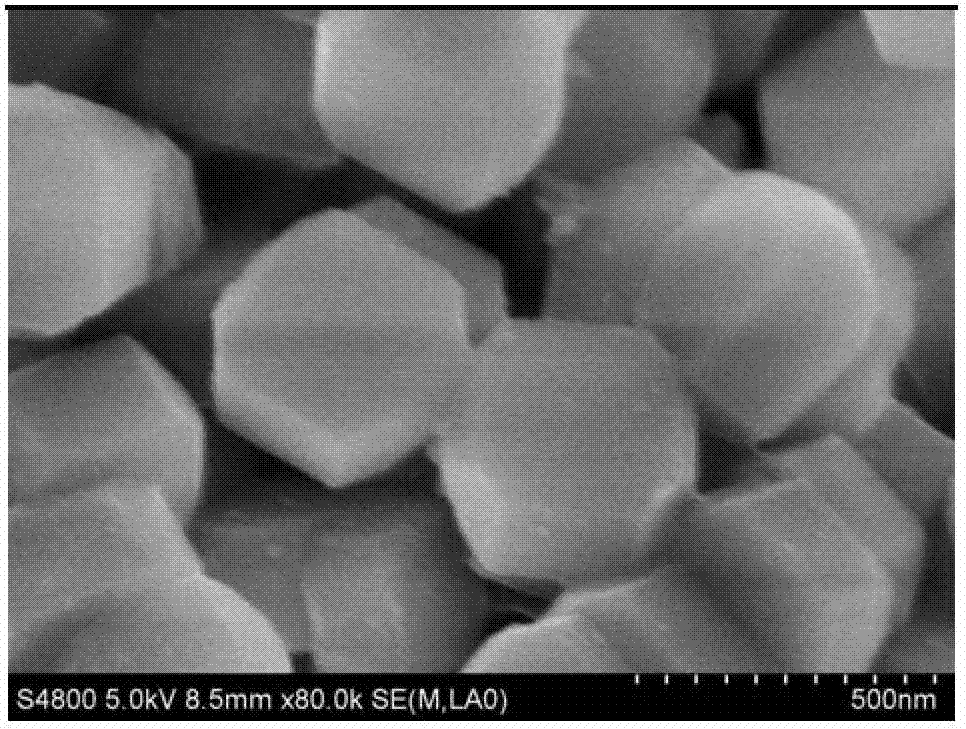 Method for preparing organic lactone