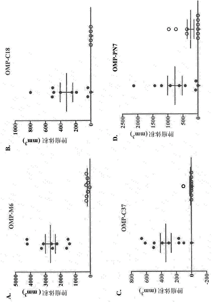 Binding agents that modulate the hippo pathway and uses thereof