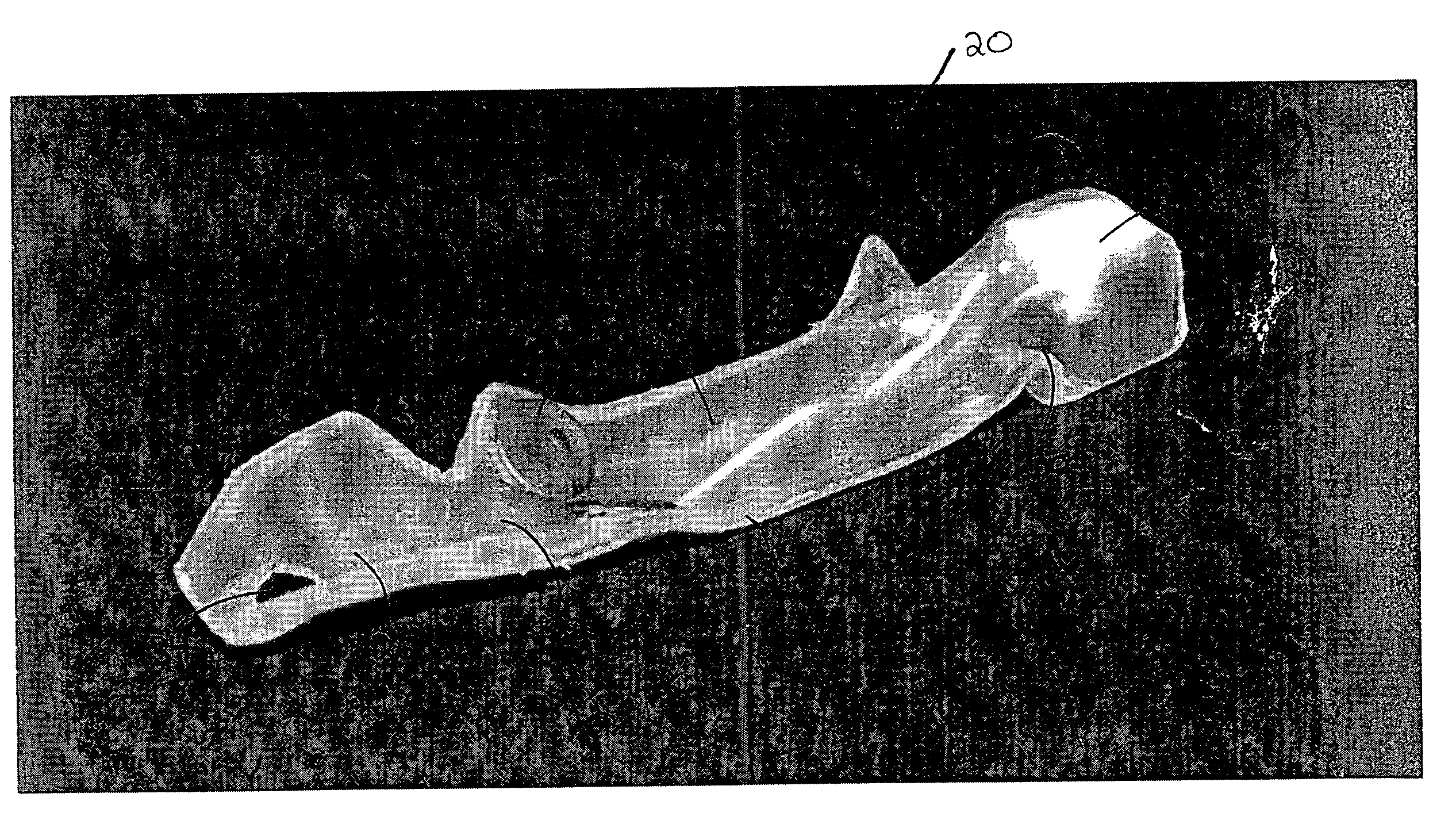 Method and apparatus for animal positioning