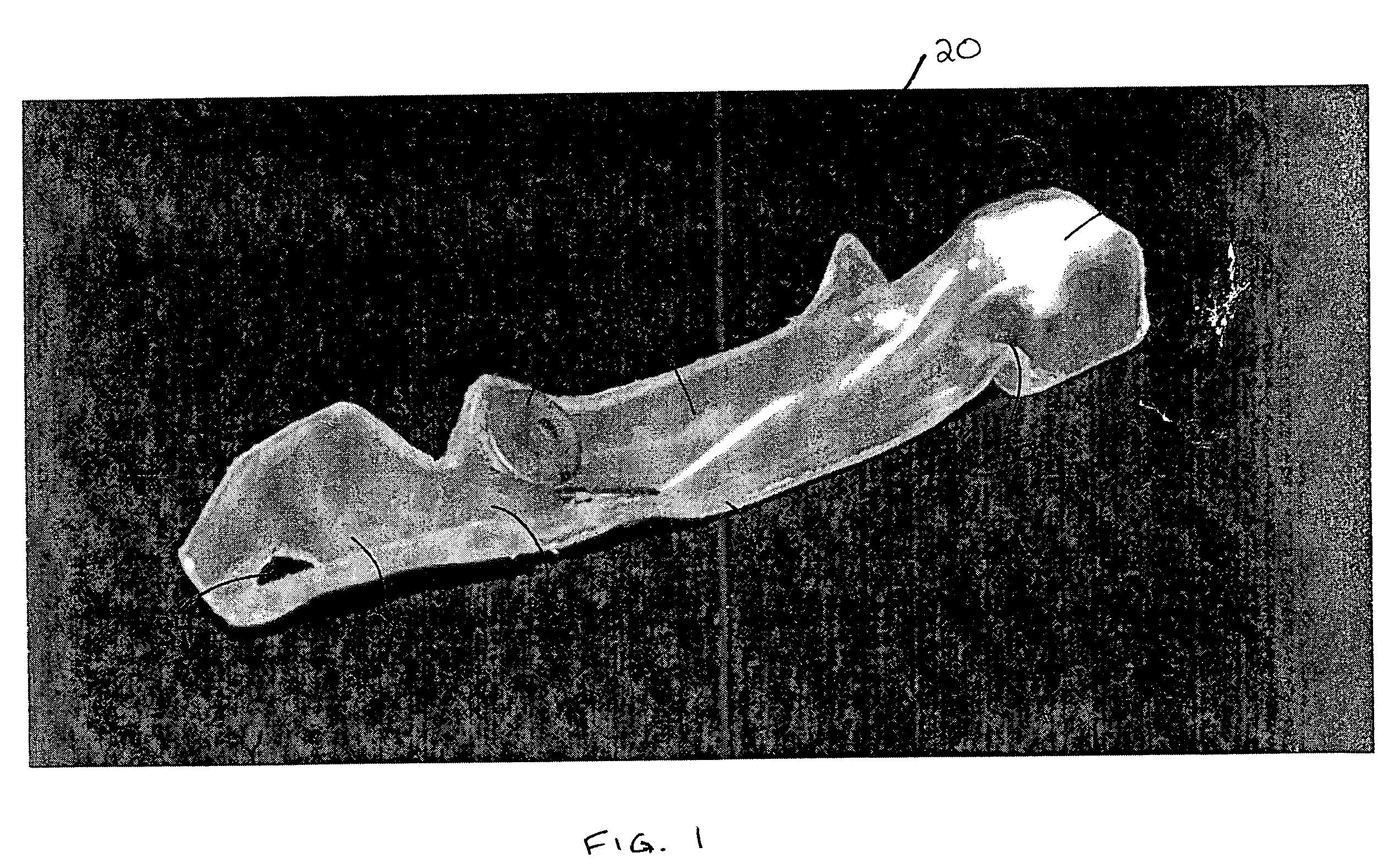 Method and apparatus for animal positioning