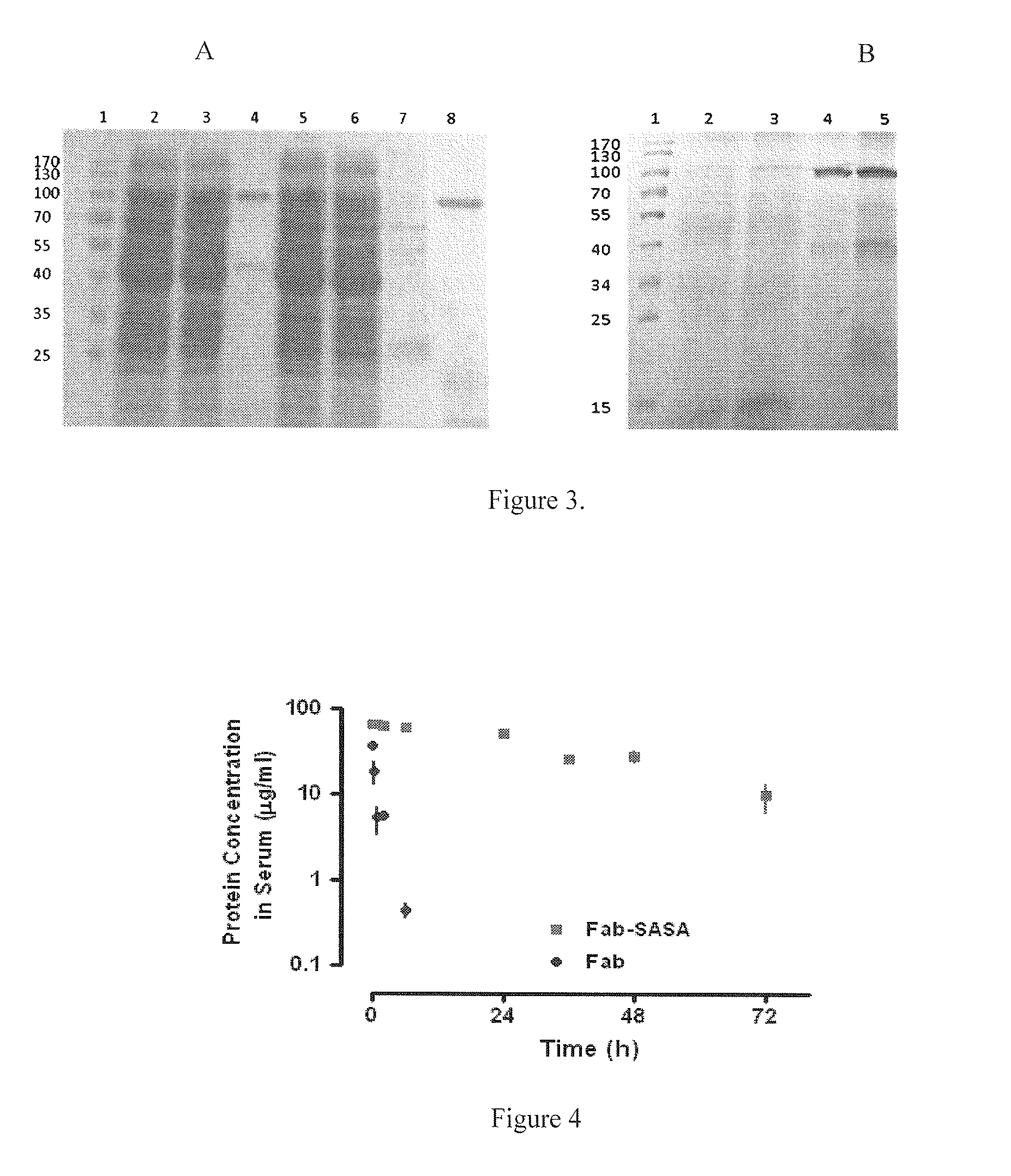 Methods and systems for increasing protein stability