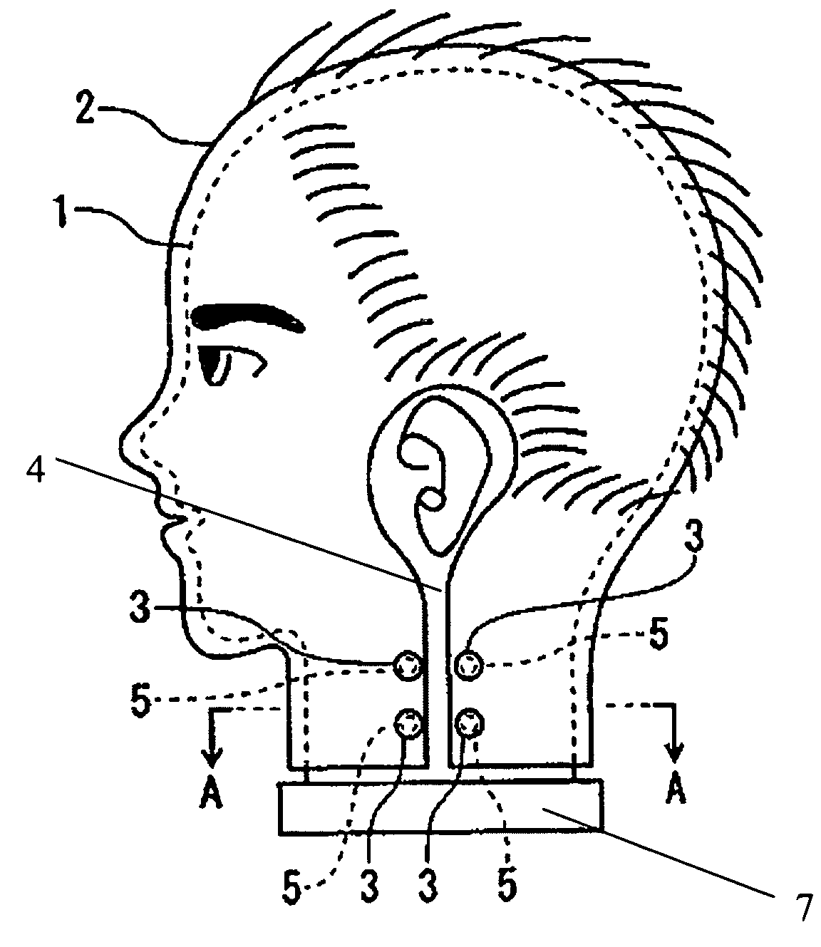 Head model for hairdressing and beauty training