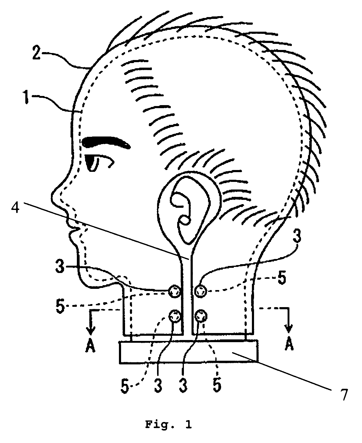 Head model for hairdressing and beauty training