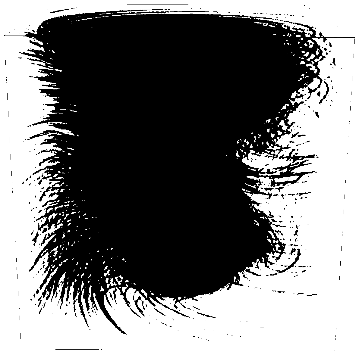 Three-dimensional flow field visualization method based on streamline length accumulation