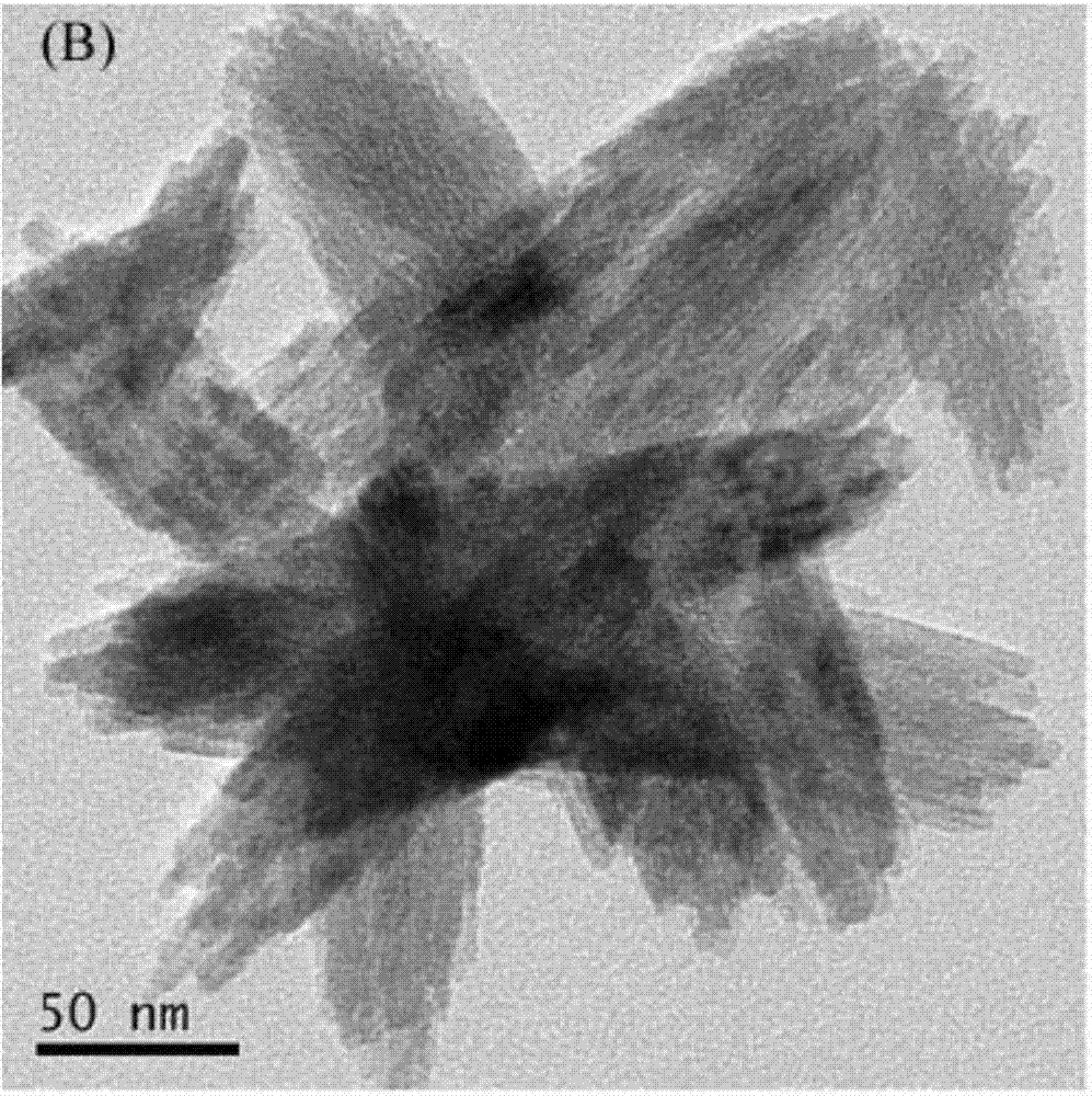 Preparation and application of different-crystal-phase FeOOH nanometer materials