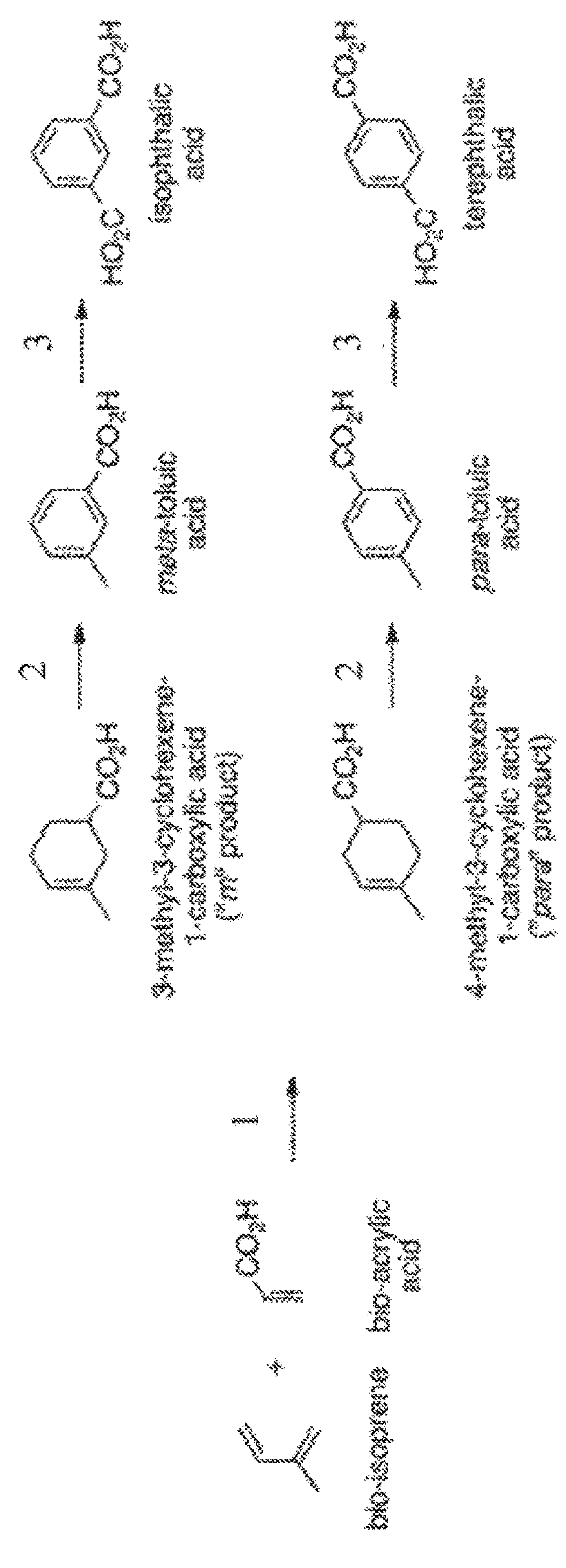 Born-Based Cycloaddition Catalysts and Methods for the Production of Bio-Based Terephthalic Acid, Isophthalic Acid and Poly (Ethylene Terephthalate)