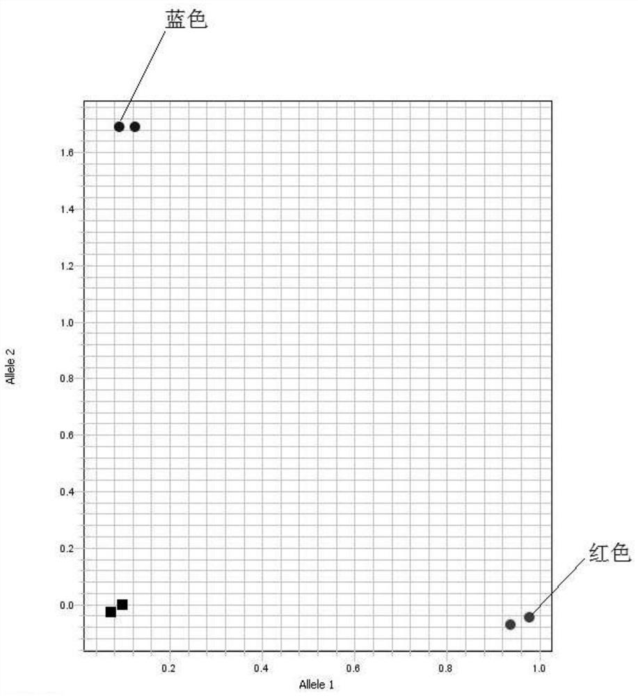 Intron 3-based Molecular Marker for Identifying Barley Semi-dwarf Multi-tiller Gene fol-a and Its Application