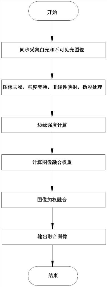 Visible light image and fluorescence image fusion method and system