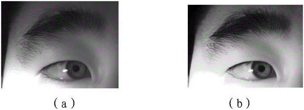 Pupil segmentation method based on multiple threshold values