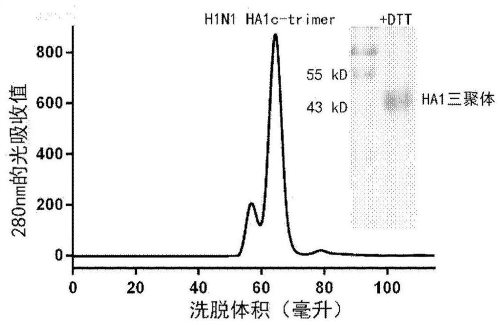 Influenza virus trimer subunit vaccine and application thereof