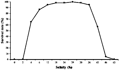 Method for culturing little yellow croakers by artificially desalting seawater salinity
