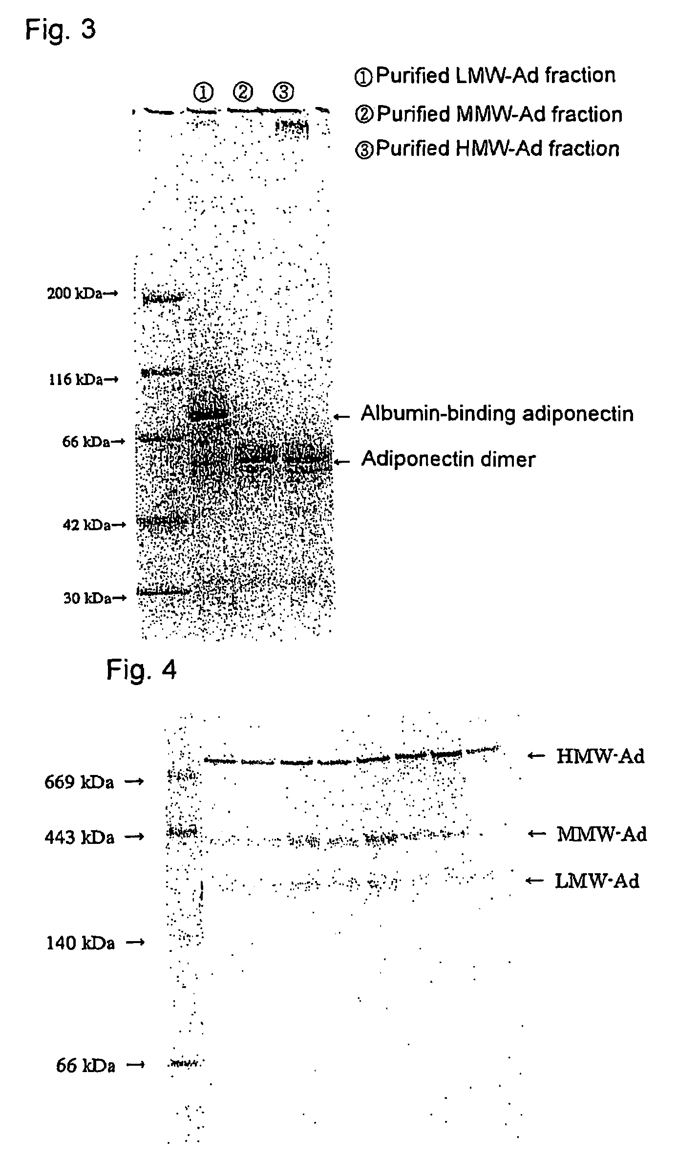Method of selectively assaying adiponectin multimers