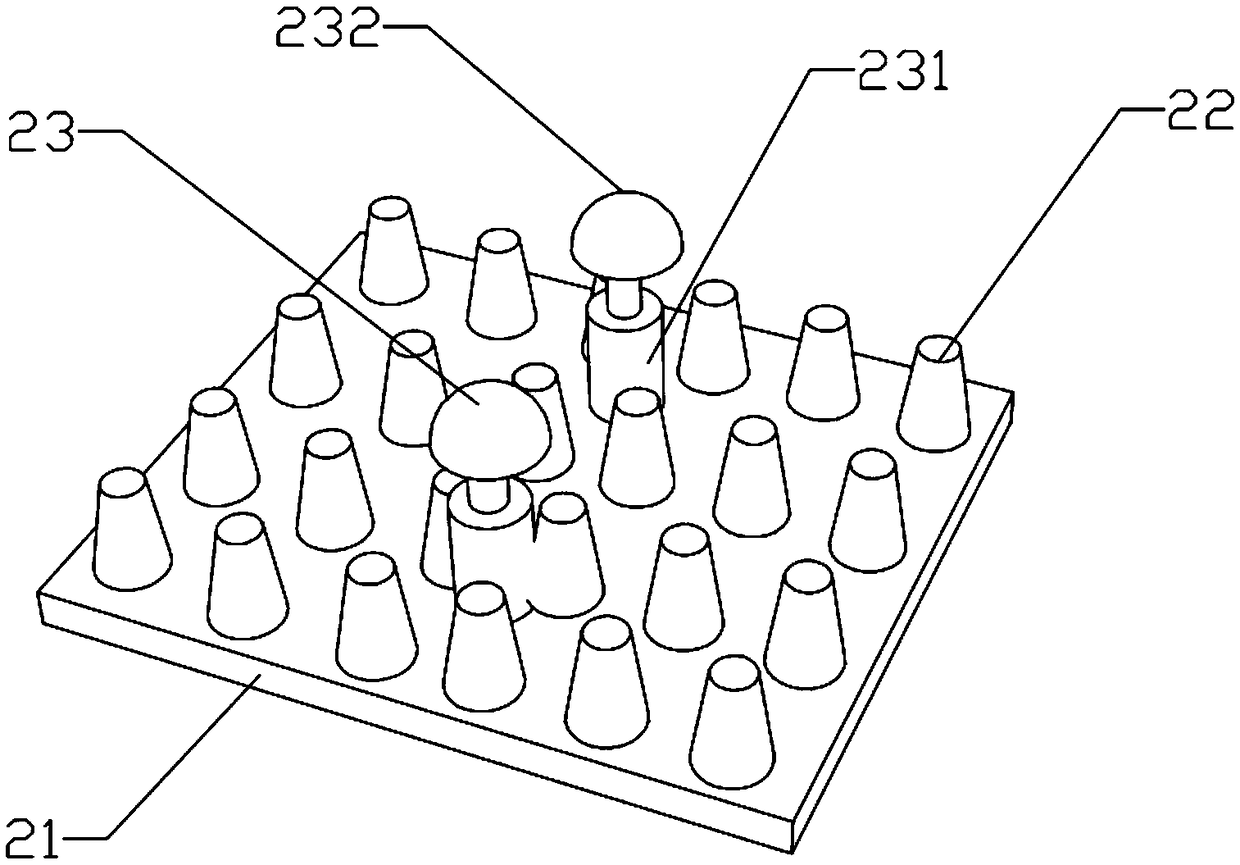 Fixing device for animal sensor