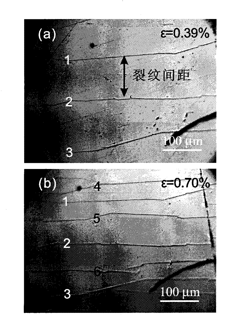 In situ evaluation system and method of reliability of thin-film materials on flexible electronic substrate