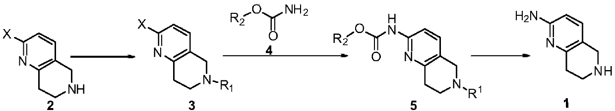 A method for synthesizing 5,6,7,8-tetrahydro-1,6-naphthyridine-2 amine