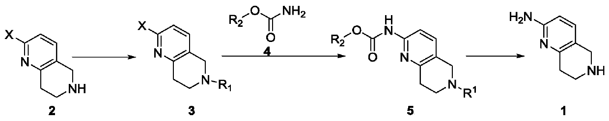 A method for synthesizing 5,6,7,8-tetrahydro-1,6-naphthyridine-2 amine