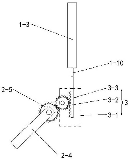 A two-person interactive leg muscle training device